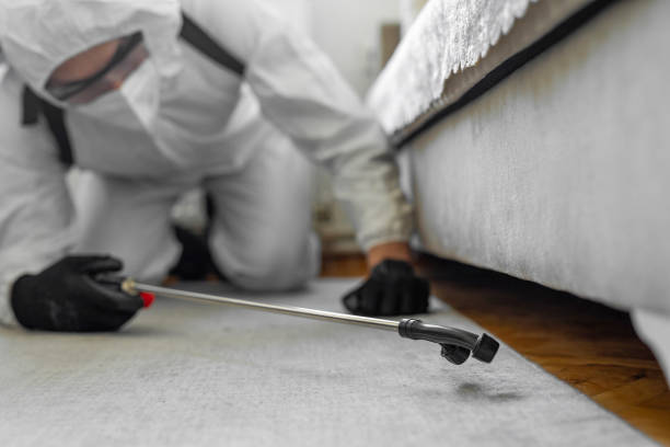 Professional Termite Control technician working in Locust Fork, AL