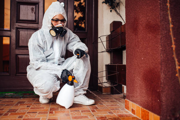 Reliable Termite Control contractor in Locust Fork, AL by Nex Pest Control
